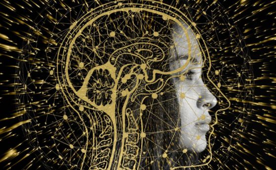 6 препоръки на учени как да „рестартираме мозъка си“ след тежката година на COVID-19