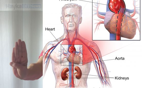 Обикновен тест с палец може да покаже вероятността да имате аневризма на аортата
