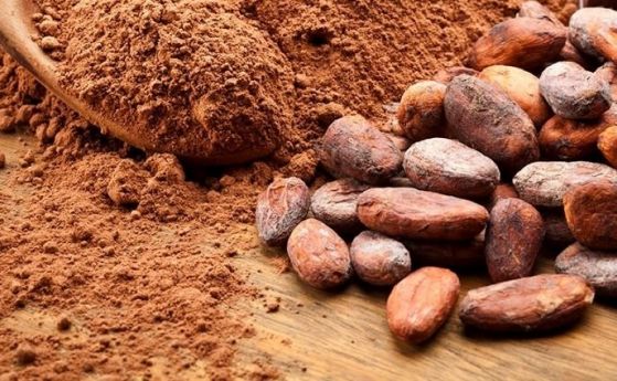 Употребата на чисто какао подобрява зрителната острота при дневна светлина