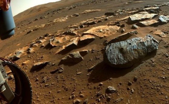 Учените предупреждават за "фалшиви вкаменелости" на Марс
