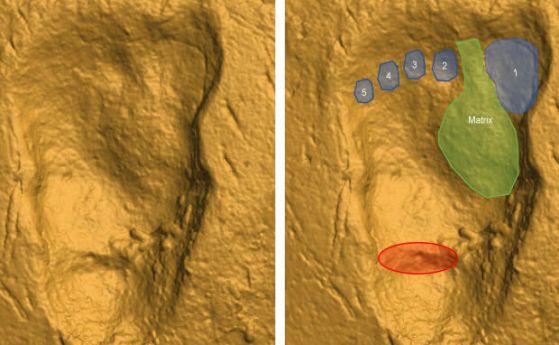 Неизвестен хоминин е минал по вулканична пепел преди 3,6 милиона години