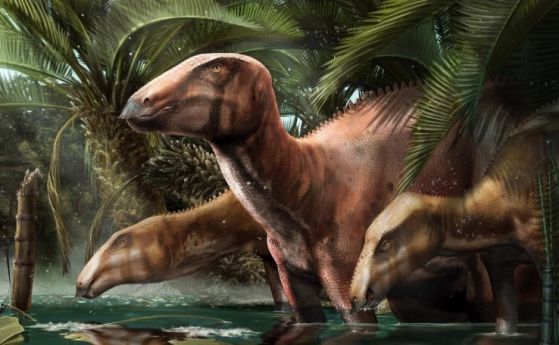 Невероятното съкровище на динозаври в Италия пренаписва история, география и еволюция