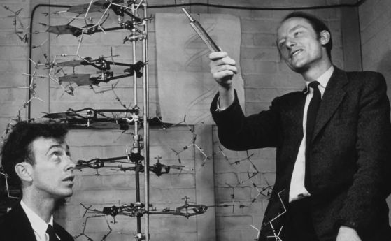 Джеймс Уотсън и Франсис Крик влизат на 28 февруари, 1953 г. в местния пъб „Ийгъл“, който се намира до лабораторията Кавендиш в Университета Кеймбридж и се провикват: „Разкрихме тайната на живота! ”
