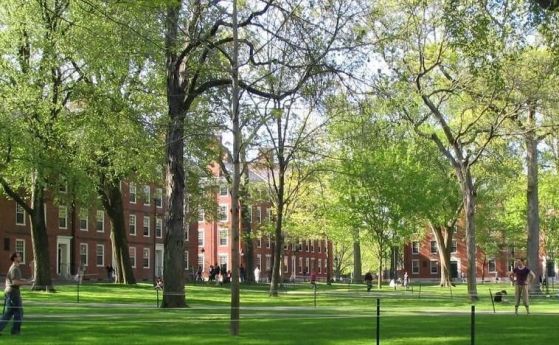 През 1639 г. колежът на малкия град Нютаун получава името Харвард