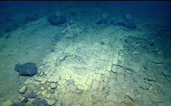 Открит е „път от жълти павета“ в невиждано досега място в Тихия океан (видео)