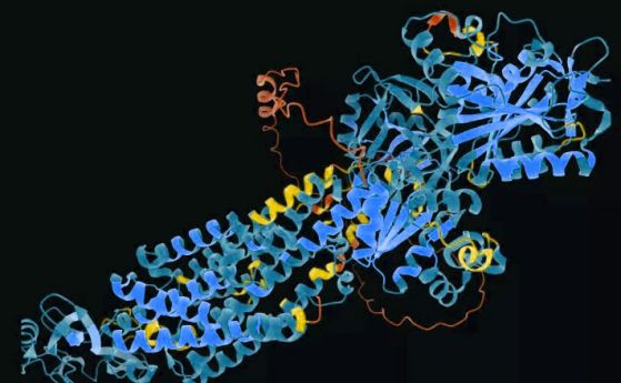  Изкуствен интелект откри структурата на почти всеки протеин, известен на науката