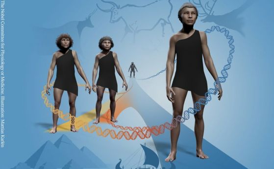 Разгадаването на заплетената история на човешката еволюция