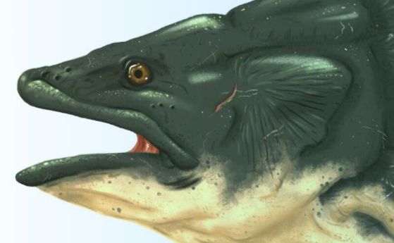 Фосил на голям юрски целакант е открит в Англия