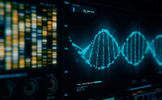 Напълно нов начин за унищожаване на рака: Изкуствена ДНК