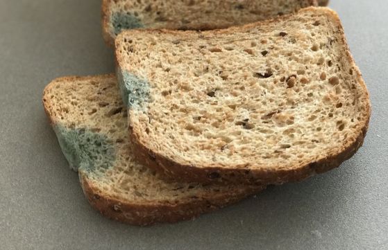 Плесенясал хляб