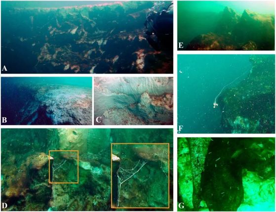 Подводни снимки, показващи вътрешността на синята дупка Taam ja'
