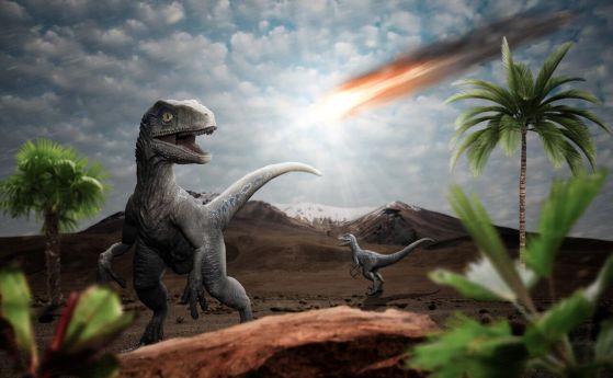 Предците на хората са живели сред динозаври и са оцелели след удара на астероида