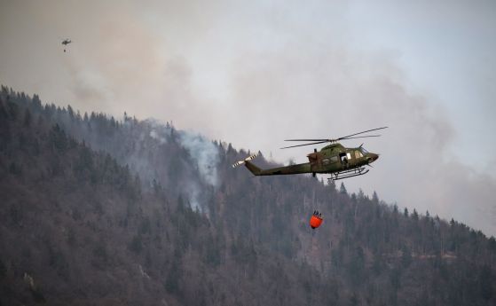 Огнена заплаха: Управление на горските пожари в България