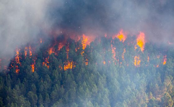 Климатичните промени увеличават честотата и мащаба на пожарите