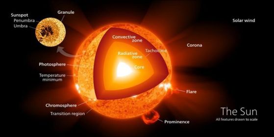 Този разрез показва различните региони на повърхността и вътрешността на Слънцето, включително ядрото, което е единственото място, където се случва ядрен синтез.