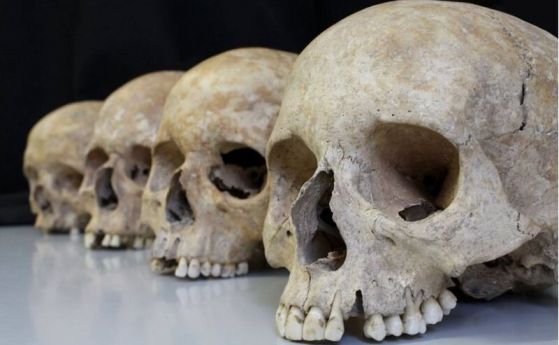 Как еволюционните сили оформят човешкия скелет?