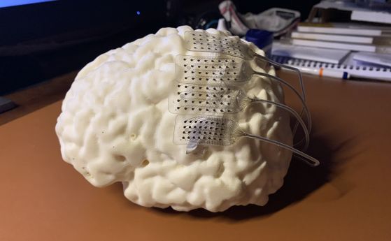 Електродни решетки върху 3D отпечатан мозък.