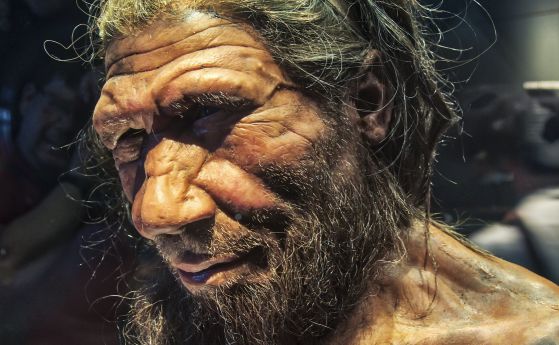 Неандерталците са готвели - още едно доказателство, че са били интелигентни колкото Хомо сапиенс
