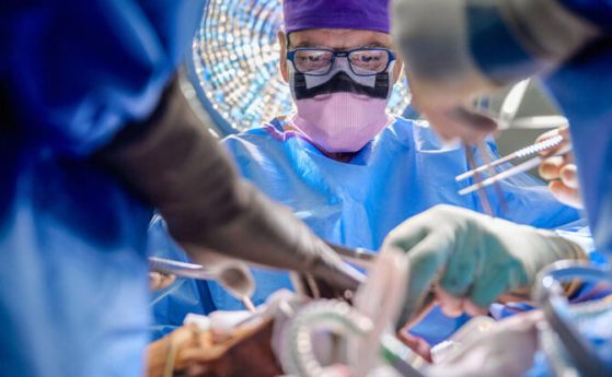 Извършена е първата в света трансплантация на цяло око