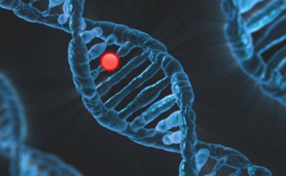 Генетичните мутации, стимулиращи размножаването, съкращават човешкия живот
