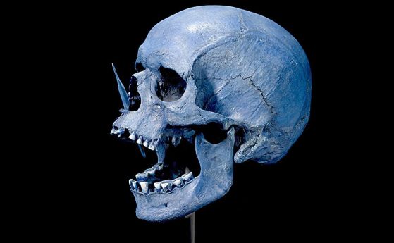 Череп на човек от периода на неолита, открит през 1947 г. в Порсмоз, Дания. 