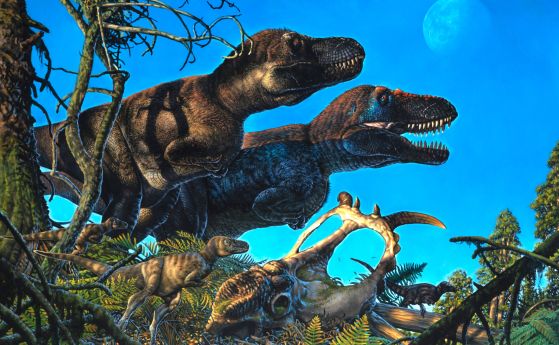 Нанукзавърът на заден план и пахиринозавърът (черепът на преден план) са сред видовете динозаври, включени в ново проучване, ръководено от учени от Университета на Аляска Феърбанкс и Университета в Рединг, което поставя под въпрос правилото на Бергман.