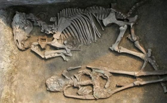 ДНК анализ разкрива как са живяли древни номади, изчезнали от Европа преди 1000 години
