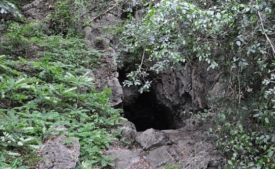 Пещерата на смъртта в Коста Рика изглежда безобидна, но може да убие всеки още на входа ѝ