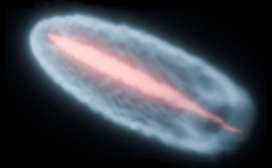 Елипсовидно сияние