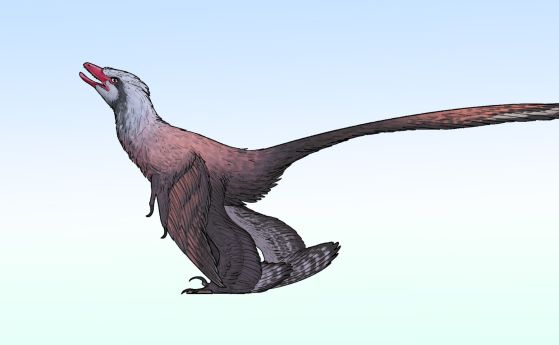 Changzhousaurus sinensis