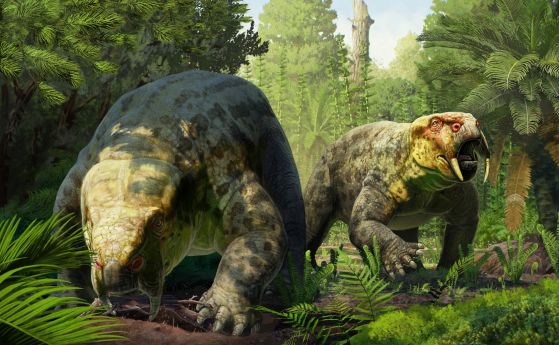 Dinodontosaurus isiyavamanda