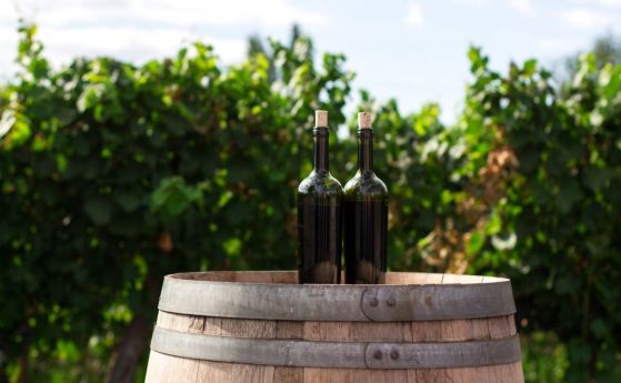 ERP.BG ще представи новата си система за управление на винарни на тазгодишното изложение Wine and Spirits Show 2023