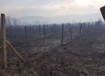 Собственици на изгорелите край Сопот лозя готвят блокада на Подбалканския път