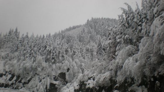 Зима в Родопите