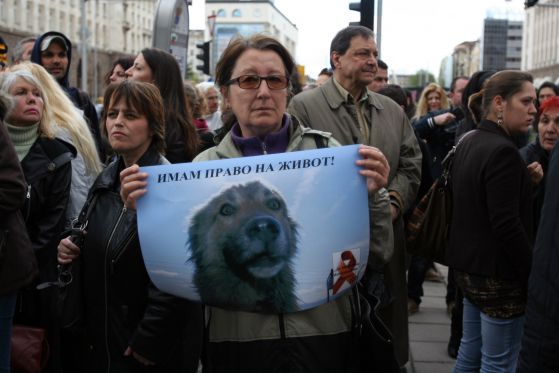 Протест срещу избиването на кучета пред Министерския съвет. Снимки: Сергей Антонов