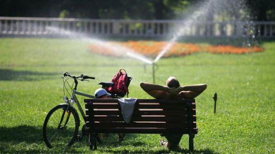 Парковете в София ще бъдат пръскани срещу кърлежи. Снимка: БГНЕС