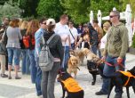 40 души подкрепиха шествието за кучета-водачи (снимки)
