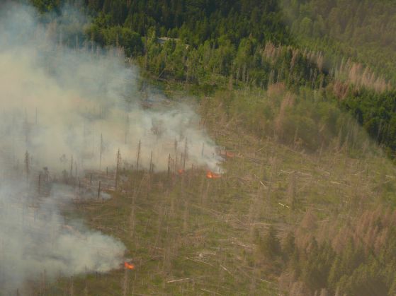 Така изглеждаше вчера пожара, сниман от хеликоптера на земеделския министър Мирослав Найденов.