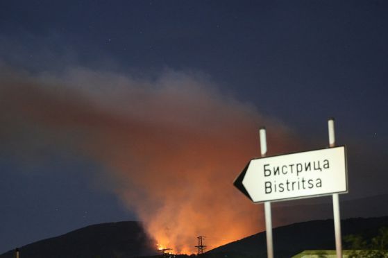 Пожарът в местността Бистришко бранище на Витоша. Снимка: БГНЕС