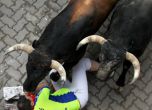 Петима ранени при препускане с бикове в Испания (снимки)