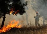 Гърция не може да овладее пожар на Пелопонес