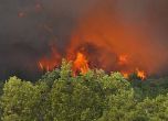 Пожар над софийското село Плана