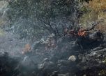 200 декара изгоряха при пожар на границата с Македония (снимки)