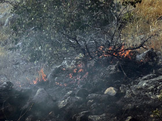 200 декара изгоряха при пожар до границата с Македония. Снимка: БГНЕС