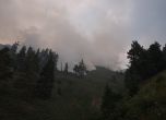 Гори гората над село Войняговци (обновена в 00:10 ч)
