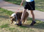 Протестна кучешка разходка в Стара Загора