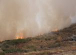 150 декара лозя изгоряха в Пазарджишко