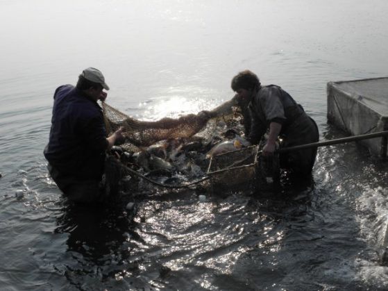 Рибари. Снимка БГНЕС (архив) 