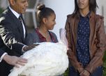 Обама помилва две пуйки за Деня на благодарността