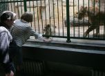 Зоопаркът в София бил "мероприятие", става музей
